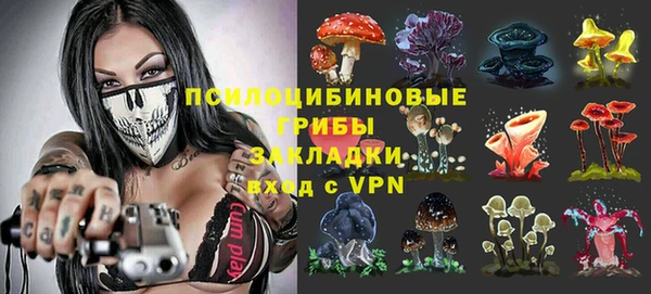 ALPHA-PVP Дмитриев