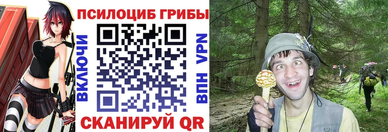 Галлюциногенные грибы Cubensis  Дятьково 